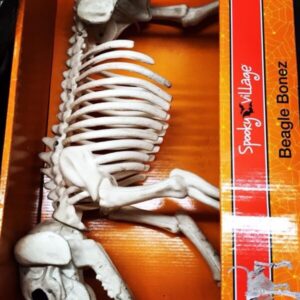 Wholesale Halloween Closeouts pallets - Image 6